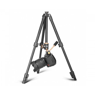 CHÂN MÁY ẢNH TRIPOD BEIKE Q160S + QUÀ TẶNG