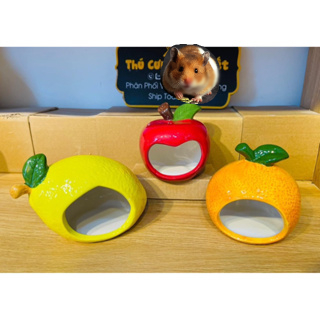 NHÀ SỨ TRÁI CÂY CHO HAMSTER