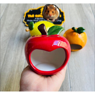 NHÀ SỨ TRÁI CÂY CHO HAMSTER