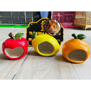 NHÀ SỨ TRÁI CÂY CHO HAMSTER
