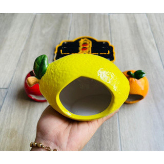 NHÀ SỨ TRÁI CÂY CHO HAMSTER
