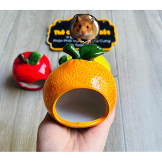 NHÀ SỨ TRÁI CÂY CHO HAMSTER