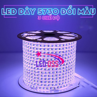 Đèn LED Dây 5730 đổi màu 3 chế độ vàng-dương-tím (mua 10m tặng 1 nguồn) trang trí hắt trần, bàn tủ kệ