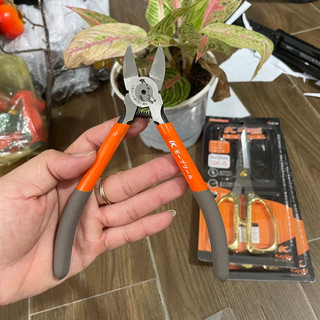 Kìm cắt kapusi 6” 150mm Kapusi, thép CRV cao cấp