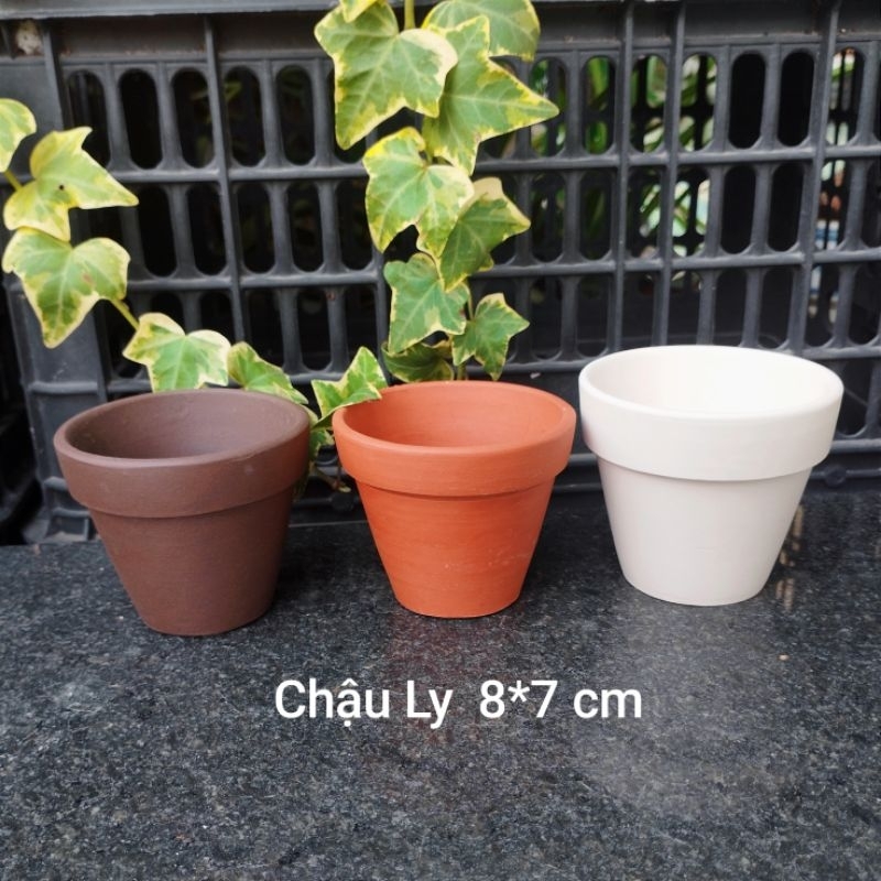 [Bao Bể Vỡ] Chậu Đất Nung Trồng Sen Đá 8x7cm