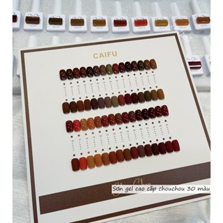  Set Sơn Hàn tông nâu cao cấp Sơn gel cao cấp. Sơn Caifu. phụ kiện nail cao cấp. tặng bảng màu như hình chouchou 