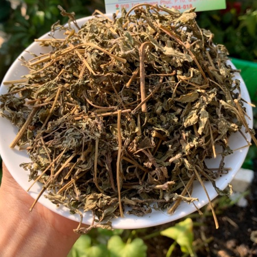 Cỏ Ngọt cành lá 100GRAM