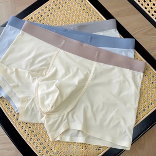 Combo 5 Quần Sịp Đùi Nam, Quần Lót Su Đúc Không Viền Không Đường May Co Dãn Siêu Mềm Mát N2