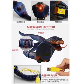 Đồ chơi rắn điều khiển từ xa