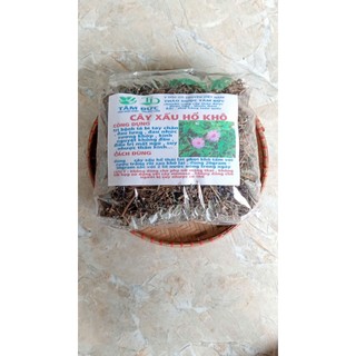 100g cây xấu hổ hoa tím sấy khô