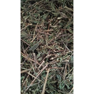 100g cây xấu hổ hoa tím sấy khô