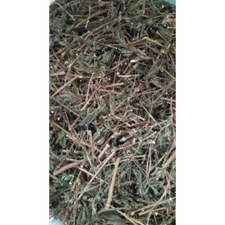 100g cây xấu hổ hoa tím sấy khô