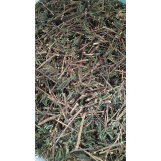 100g cây xấu hổ hoa tím sấy khô