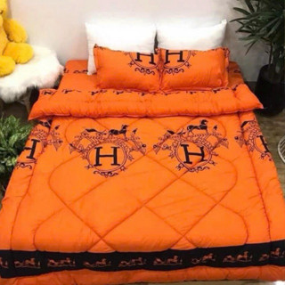 Chăn Phao Trần Bông Cotton Poly Dầy Dặn Nặng 2kg