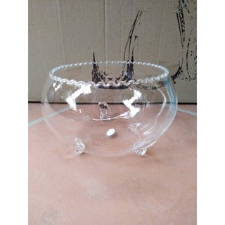 Bể cá có chân miệng răng cưa cỡ 21cm