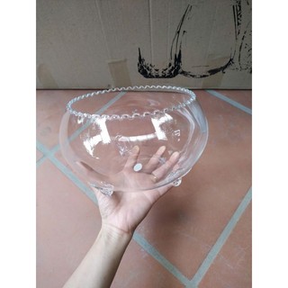 Bể cá có chân miệng răng cưa cỡ 21cm