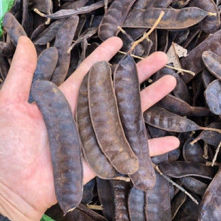 Bồ kết nướng sẵn tách hạt 1kg