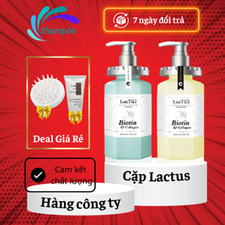 Dầu gội biotin lactus season ngăn gàu, giảm rụng tóc QH lactus season biotin collagen 650ml ngăn gàu