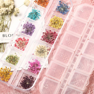 SET HOA KHÔ Nail CHÙM 12 MÀU