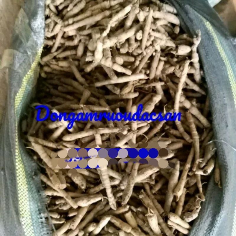 Sâm cau đen rừng( Sâm tiên mao) 1kg