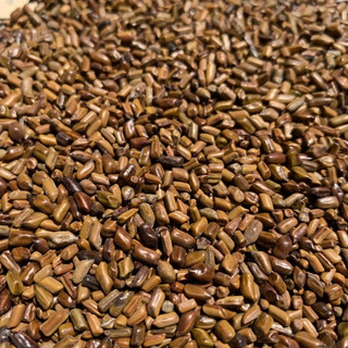 Thảo Quyết Minh 200g