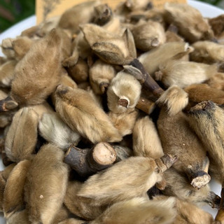 Tân Di Hoa 100g