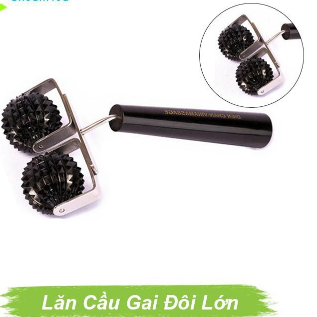 Lăn Sừng Cầu Đôi Lớn Diện Chẩn