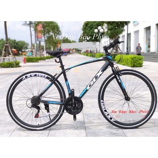 [GIẢM 200K] Xe đạp thể thao Galaxy LP300 (Tặng chắn bùn+giá đỡ bình nước+lục giác)