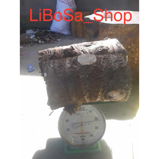 Bạc hà núi 1kg hoành trên 60cm ( hàng khủng)