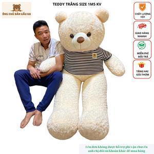 Gấu Bông Teddy Chất Liệu Vải Xoắn Siêu To Nhiều Màu các size 80cm-1m -1m2