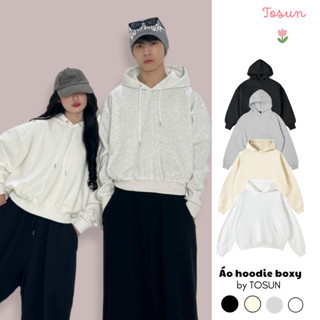 Áo hoodie boxy trơn basic form rộng nam nữ mũ 2 lớp chất nỉ 2 da TOSUN HD05