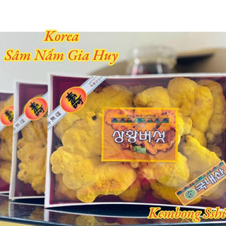 [HÀNG MỚI VỀ] Nấm Thượng Hoàng Hàn Quốc 500gr [HỘP QUÀ BIẾU SANG TRỌNG]