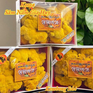 [HÀNG MỚI VỀ] Nấm Thượng Hoàng Hàn Quốc 500gr [HỘP QUÀ BIẾU SANG TRỌNG]