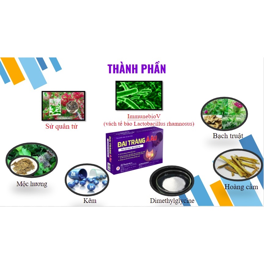 Mẫu mới Hộp 30 viên Đại Tràng  Á ÂU – Giải Pháp Giúp Tăng Cường Tiêu Hóa dai trang a au