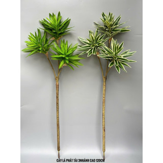 Cây giả - Cây phát tài 3 nhánh nhân tạo cao 1m2