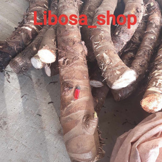 Bạc Hà Núi 10kg đủ size