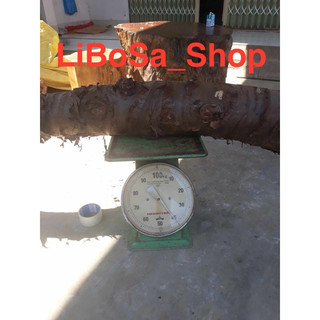 Bạc hà núi 1kg hoành trên 50cm