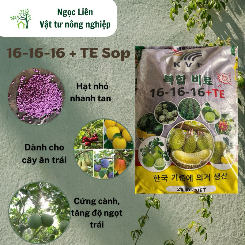 NPK 16-16-16 + TE Sop (K2SO4 ) chuyên dành cho cây ăn trái