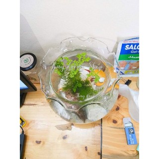 Bể cá thủy tinh mini để bàn tai bèo