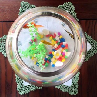 Bể cá hình cầu cỡ đại 29 cm