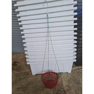 combo 5 Chậu Nhựa Trồng Lan, Chậu Lan Nan Phụ ( Lan Que) PHI 20, PHI 25, PHI 30
