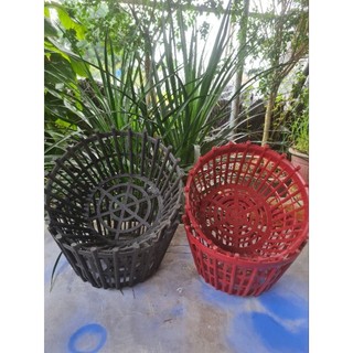 combo 5 Chậu Nhựa Trồng Lan, Chậu Lan Nan Phụ ( Lan Que) PHI 20, PHI 25, PHI 30