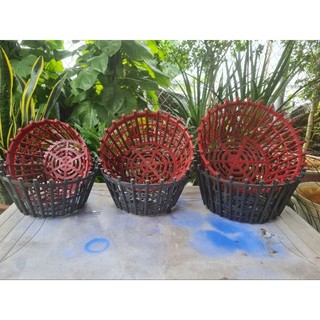 combo 5 Chậu Nhựa Trồng Lan, Chậu Lan Nan Phụ ( Lan Que) PHI 20, PHI 25, PHI 30