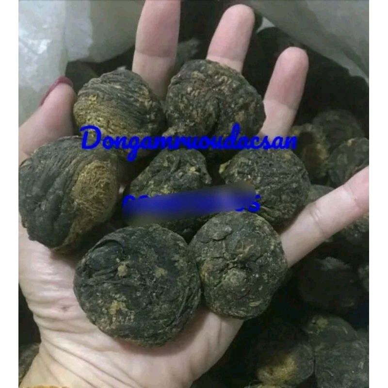 Sâm Macca Peru 100g chuẩn sâm macca đen