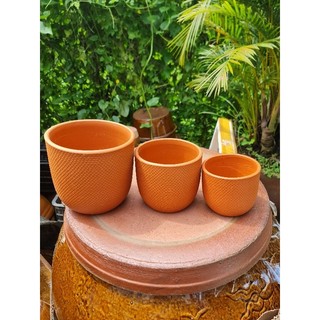 Chậu đất nung - Combo 3 chậu trứng da rắn
