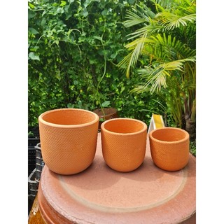 Chậu đất nung - Combo 3 chậu trứng da rắn