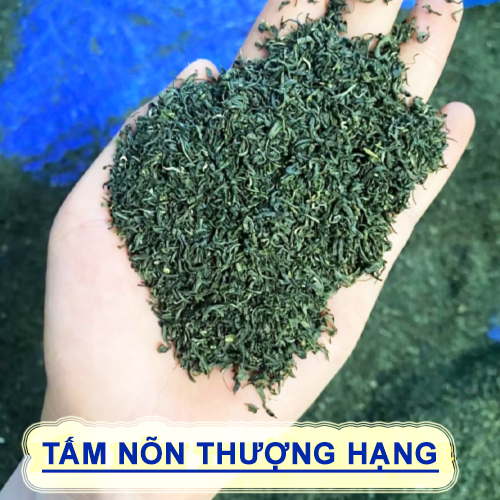 Trà Tấm Nõn Thượng Hạng Thái Nguyên - Trà Văn Hán Việt GAP, Nước xanh, Hậu ngọt