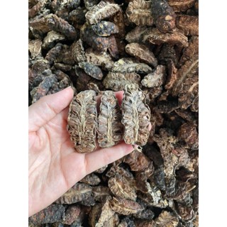 Combo 5kg nhàu sỉ cho khách