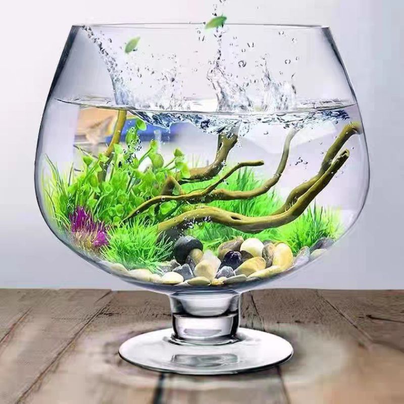 Bể cá thủy tinh hình chiếc ly