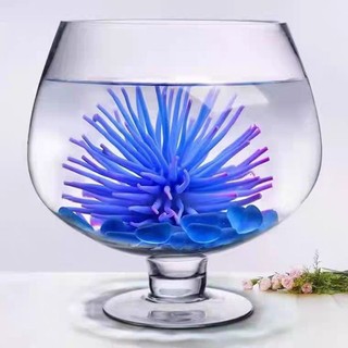 Bể cá thủy tinh hình chiếc ly